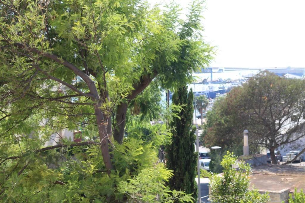 Junto Al Mar En Rosas, Puig Rom Nuevo, Wifi, Tranquilidad Apartment ภายนอก รูปภาพ